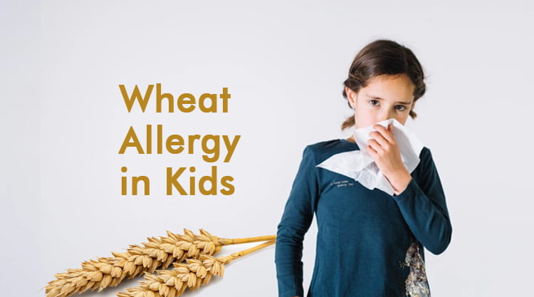  Wheat Allergy in Kids | Symptoms, Diagnosis and Treatment