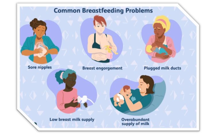 Homeopathy Medicine For Breastfeeding Problems