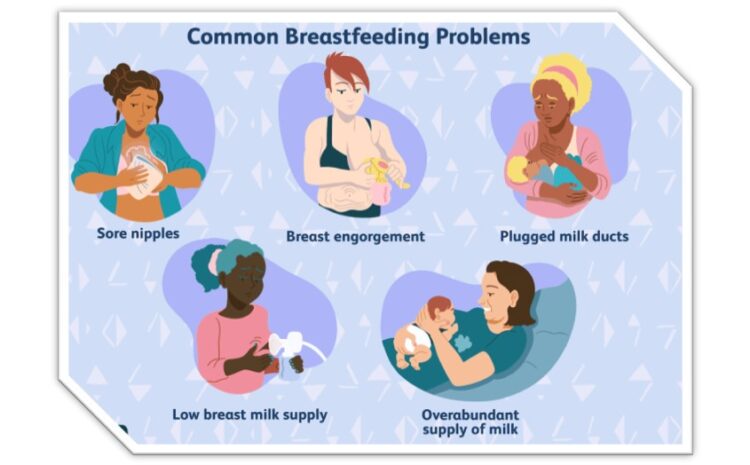 Homeopathy for Breast & Nipple Pain during Breastfeeding - Little Mountain  Homeopathy