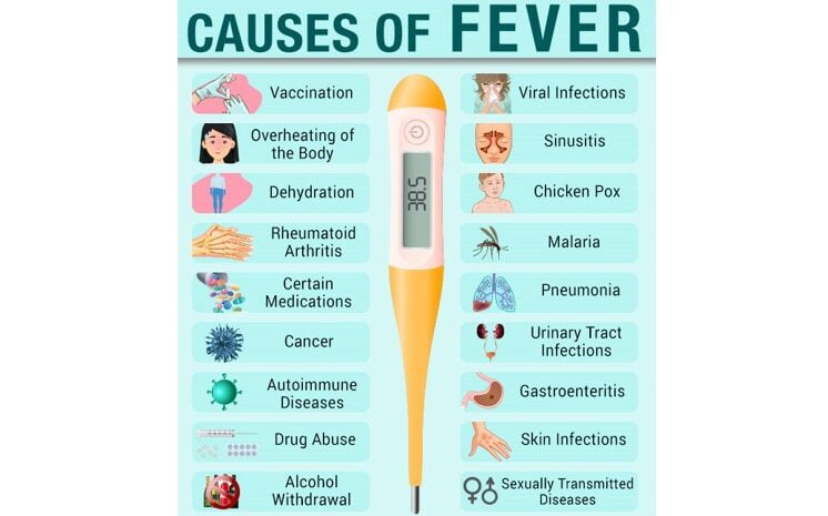  Homeopathy Medicines for Fever