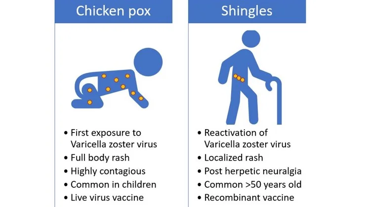 11 Homeopathic Medicines – Chickenpox and Shingles